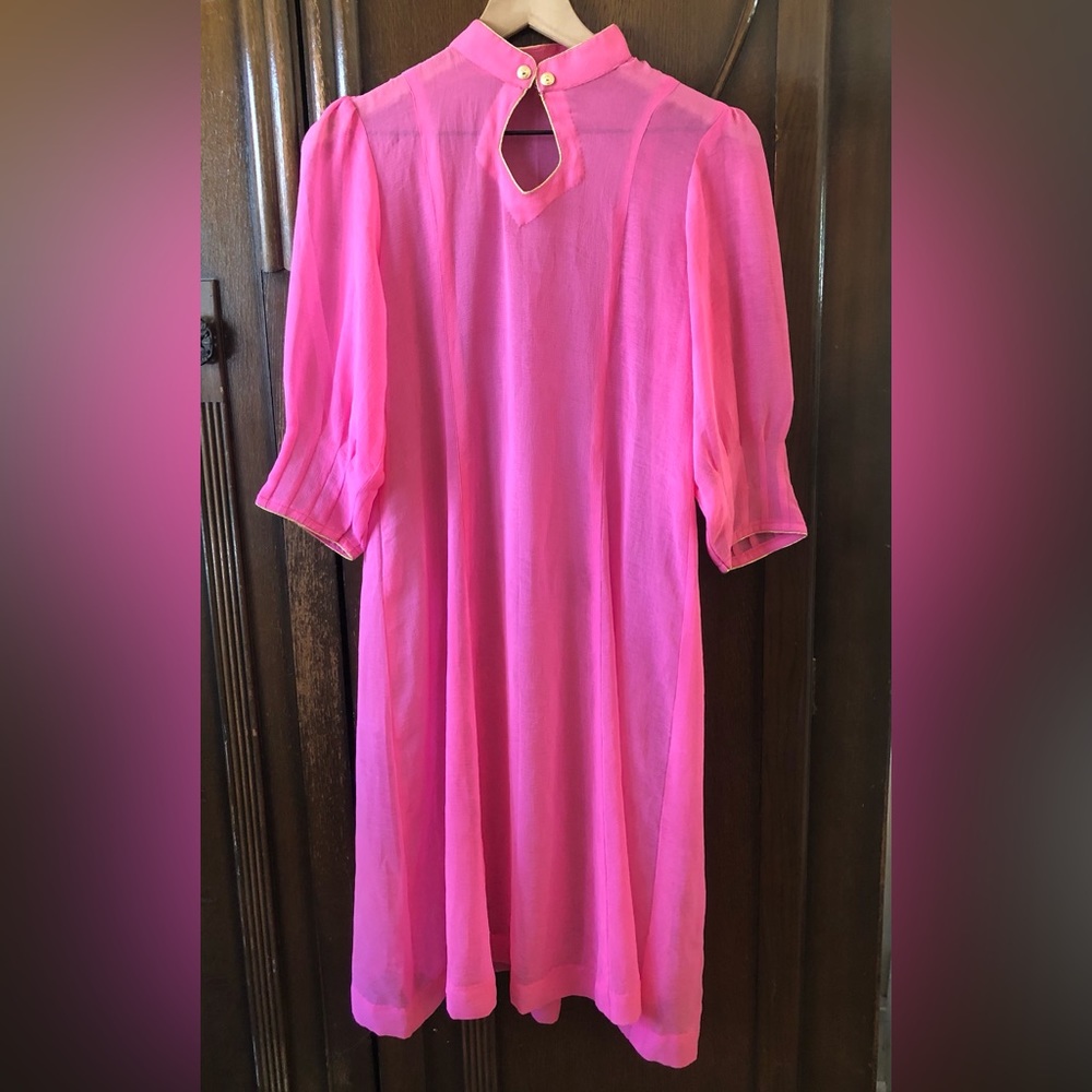 Vintage 1960’s sheer pink dress no tags